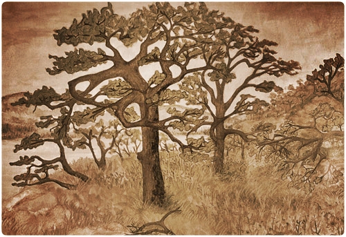 tree